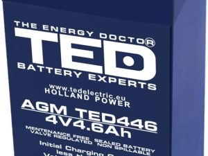 Acumulator 4V 4.6Ah 47x47xh100.6mm AGM Battery TED446F1 TED002853