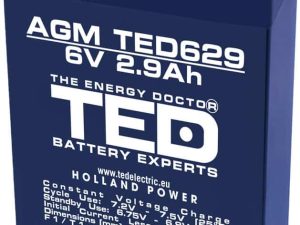Acumulator AGM VRLA 6V 2.9Ah plumb acid 66x33x97 mm F1 terminal TED Battery Expert Holland