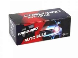 Bec auto SV8.5 15x41mm 12V 10W Carguard