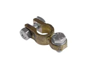 Borna acumulator tip FRANCEZ pol-minus