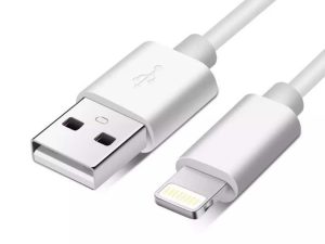 Cablu de date si incarcare iPhone Lightning 2m 2A Well