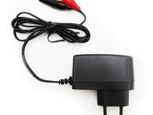 Incarcator cu debransare VRLA AGM 6V 1A TED