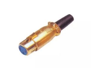 Mufa XLR mama aurita