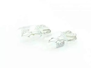 Set 2 becuri W5W incandescent CARGUARD