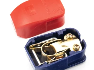 Set 2 borne baterie auto cleme profesionale Carguard BBA003